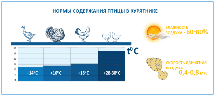 Вентиляция на птицефабрике, нормы и стандарты, необходимый температурный режим