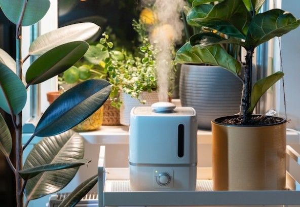 Сухой воздух в квартире – увлажнитель или вентиляция