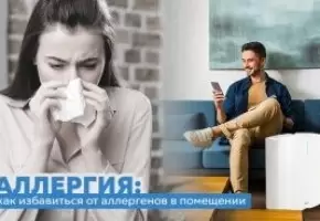 Топ-4 алергенів у квартирі та як з ними боротися