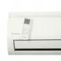 Daikin FTYN60L/RYN60L