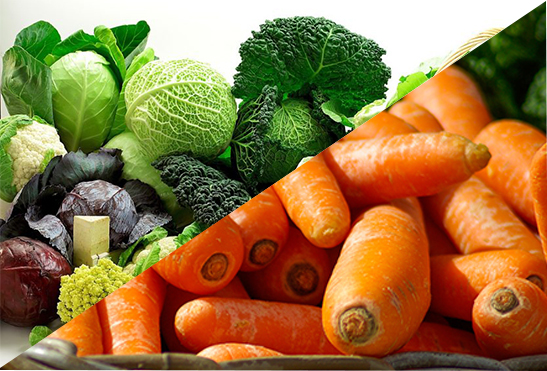 Зберігання моркви та капусти