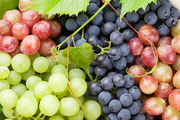 Условия хранения винограда